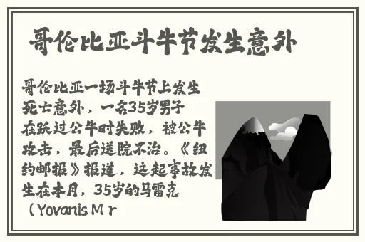 久久久久精品久久影视